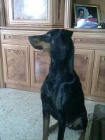 xena